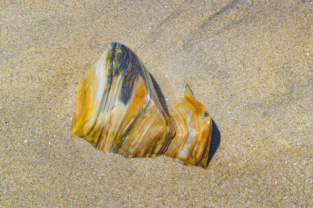 海滩上的彩色岩石