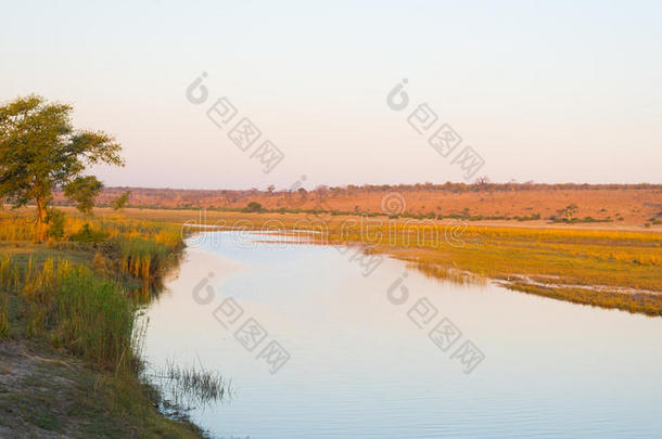 乔贝河景观，从纳米比亚博茨瓦纳边界的卡普里维地带，非洲。 乔贝国家公园，著名的野生动物保护区