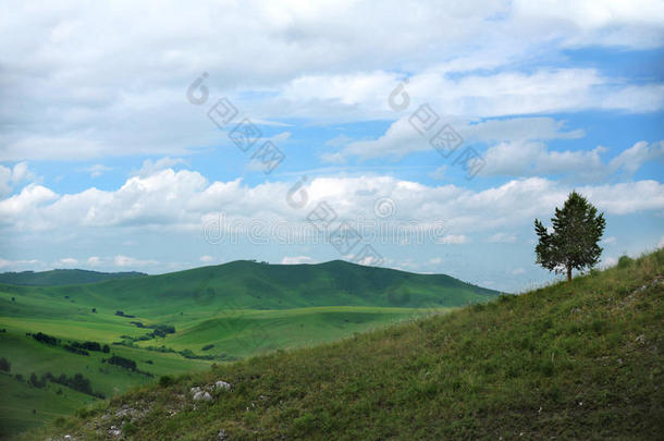 山景全景