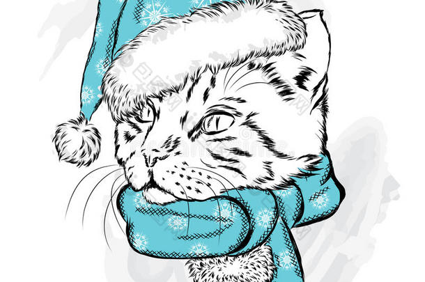 戴着圣诞帽和围巾的滑稽猫。