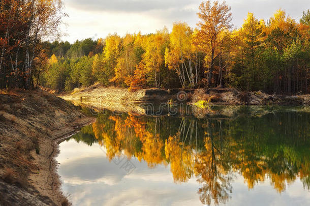 秋天湖边的树林