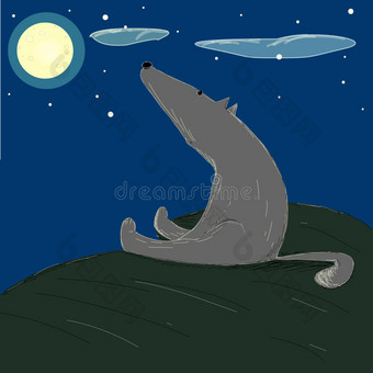 灰狼一天晚上看着星空和圆圆的月亮。图片