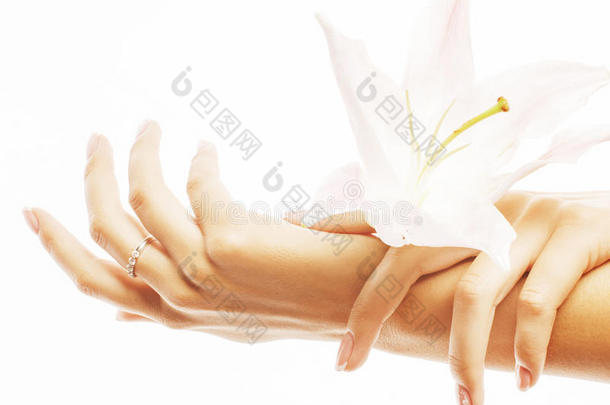 美丽精致的手与美甲握着花百合紧密地隔离在白色完美的形状上