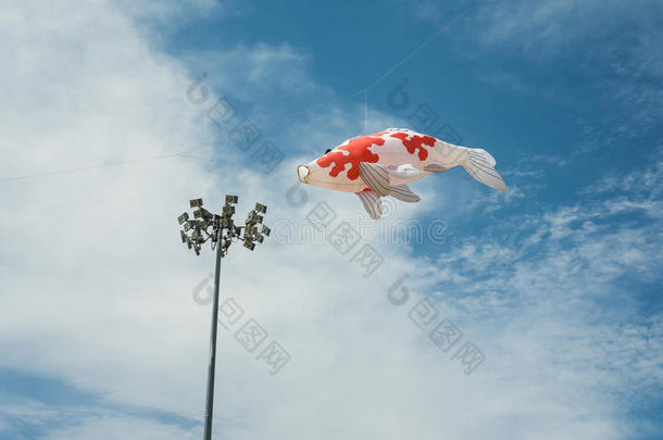 花式鲤鱼鱼形风筝在蓝色多云的天空中飞行