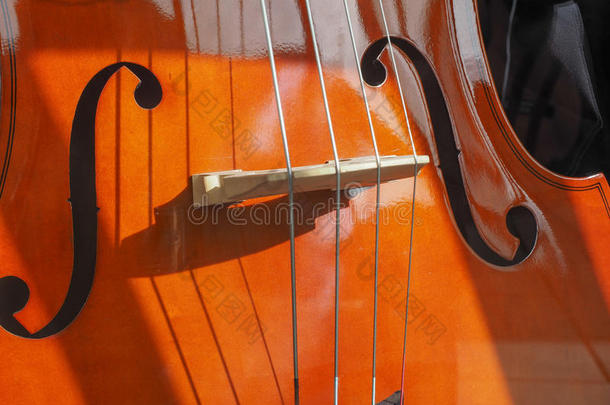 大提琴弦乐器