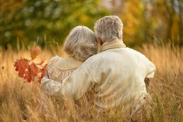 一对年迈的夫妇坐在秋天公园里，背对着他