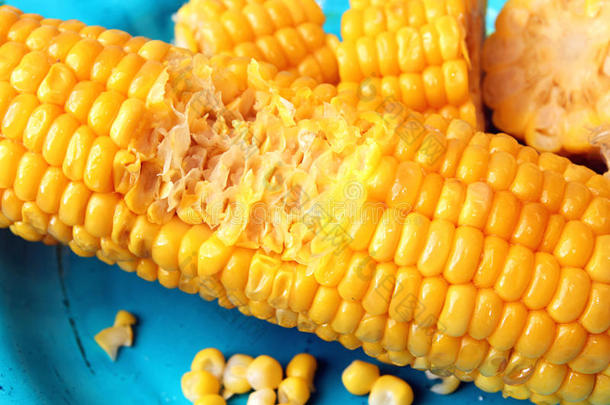 煮玉米和切碎的玉米耳在蓝色盘子里