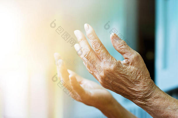 老妇人双手祈祷，心安理得，<strong>忠心</strong>耿耿