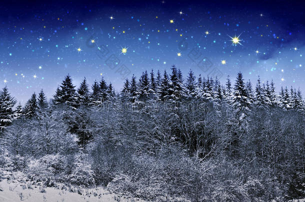 美丽的夜晚冬天的风景在山上与星星。
