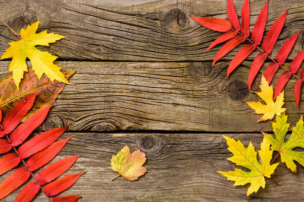 秋天的叶子在木制的背景上。秋天。 有复制空间的木头