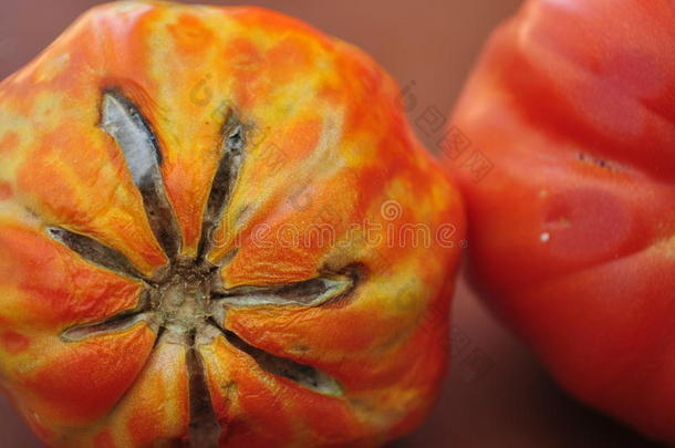 摘要坏的生物生物学的生物学