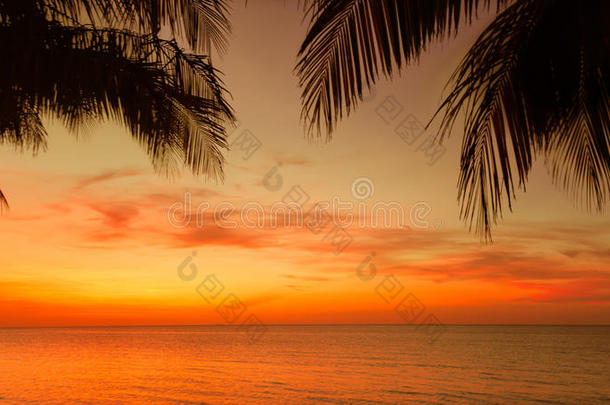 古<strong>巴卡</strong>约可可岛热带日落时间背景的惊人自然景观