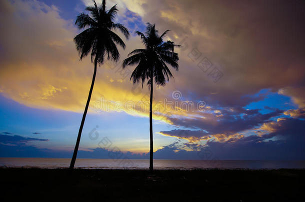 亚洲多云的椰子夏威夷天空
