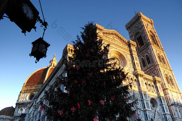 圣诞节在佛罗伦萨，圣诞树在佛罗伦萨的多莫广场的圣诞树，背景是大教堂
