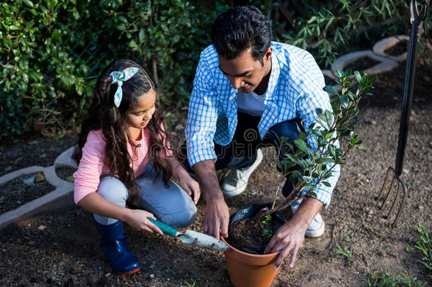 父亲和女儿在后院的盆栽里盆栽植物