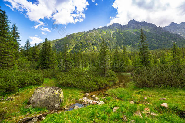 波兰塔特拉山的美丽风景