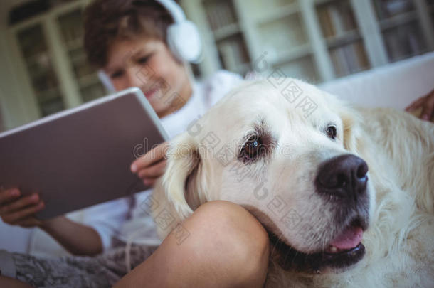 男孩和宠物狗坐在沙发上，在数字平板电脑上听音乐