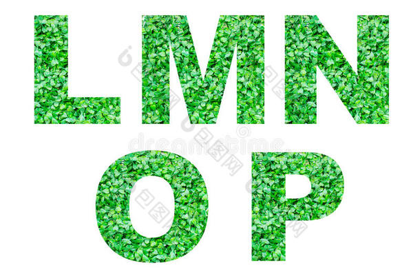 字母l，m，n，o，p，绿草，白色。抽象字母表。