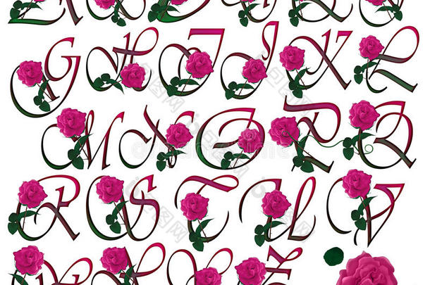 字体设置花卉