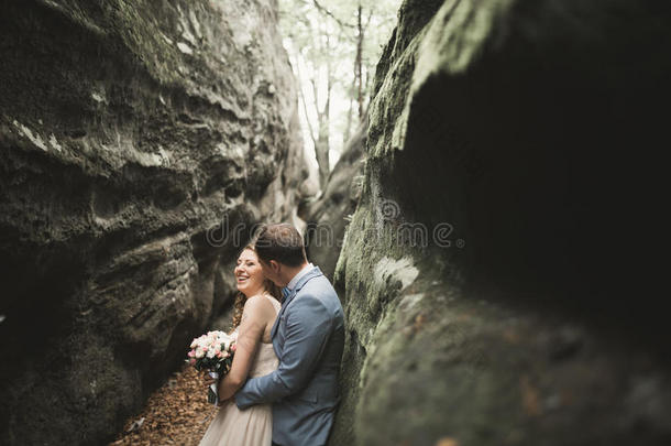 华丽的新婚夫妇在森林里用<strong>大石头</strong>接吻和拥抱