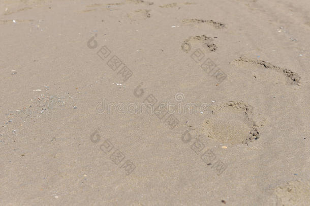 在海滩上的沙子上的脚印。 海滩旅行的概念。 复制空间。 纹理