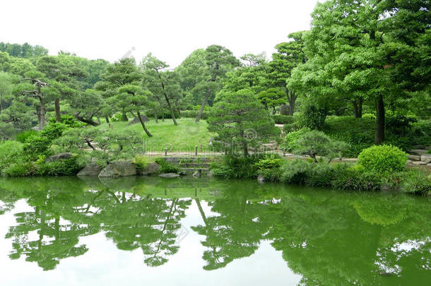 禅宗花园中的绿色植物、树木和湖泊