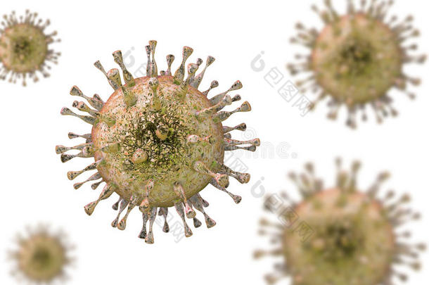 巨细胞病毒，疱疹病毒科DNA病毒