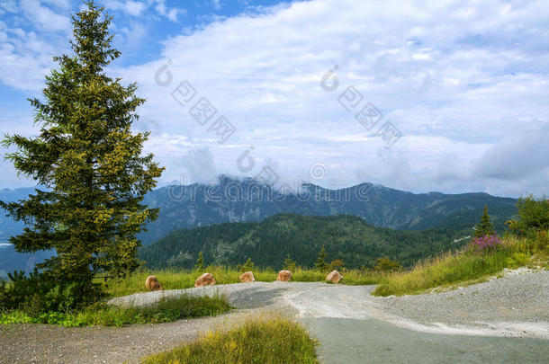 奥地利怀德林斯坦普拉特山的美丽景观