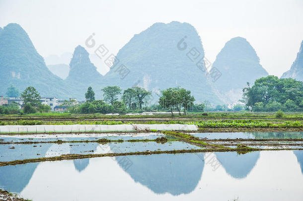 <strong>春天美丽</strong>的喀斯特山和乡村<strong>风景</strong>