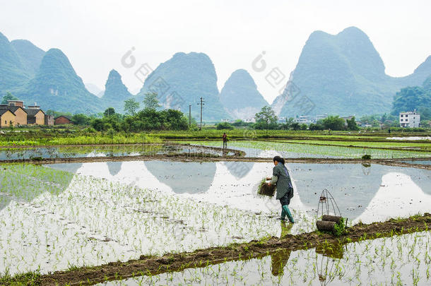 <strong>春天美丽</strong>的喀斯特山和乡村<strong>风景</strong>