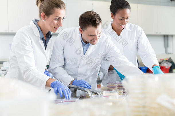 食品实验室的科学家小组，在培养皿中<strong>取样</strong>