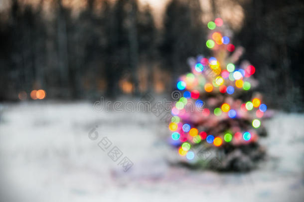 冬天森林里的圣诞树上有彩灯