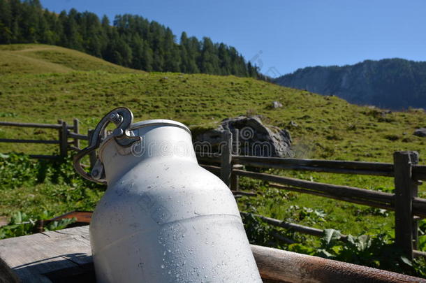 农业的农业阿尔卑斯山贝希特斯加登饮料