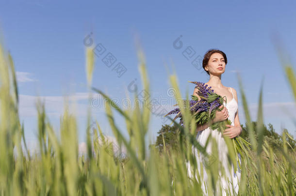 美丽的<strong>甜美女</strong>孩，留着辫子，穿着白色的夏季日裙，走在一片田野里，手里拿着一束紫色的卢平花