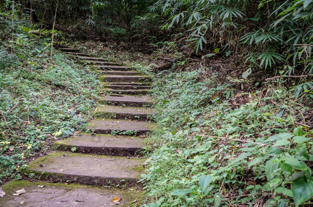 块砌砖工程建筑水泥攀登