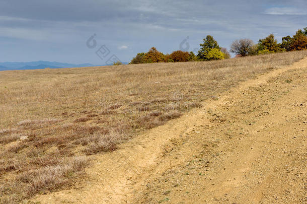秋季全景与黄色树木的雪拉戈拉山，保加利亚