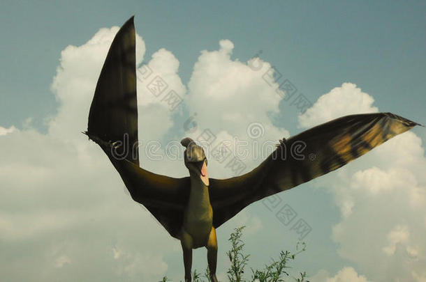 恐龙-翼龙。 恐龙公园