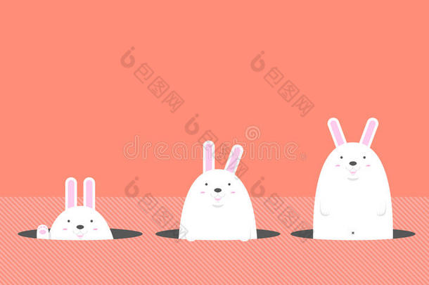 可爱的大肥白复活节兔子