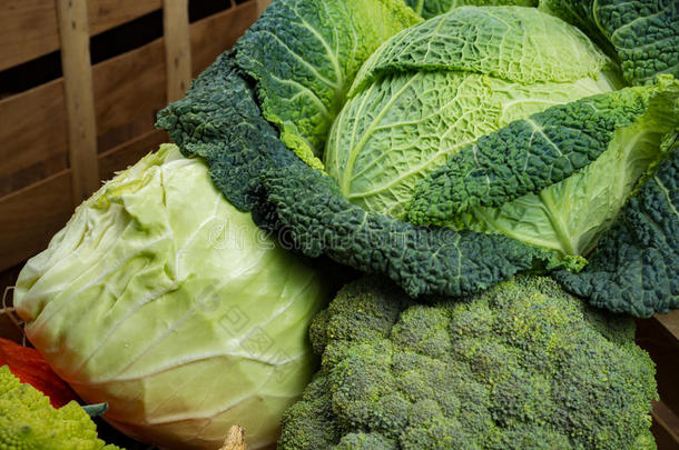 绿色新鲜蔬菜-全卷白菜，西兰花，其他ca
