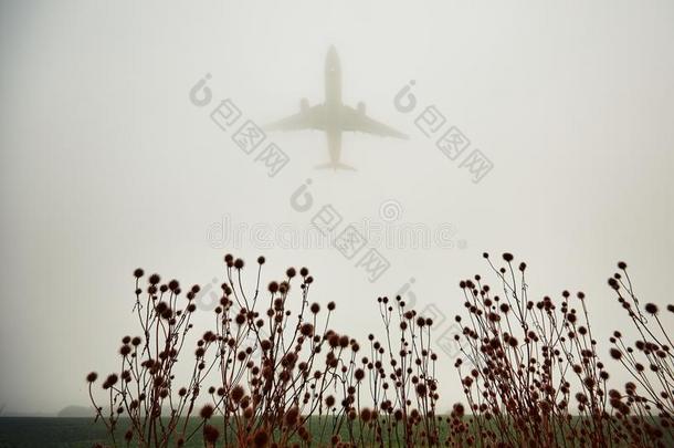 飞机在浓雾中