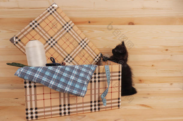 黑色小猫在一个盒子里，里面有缝纫的物品