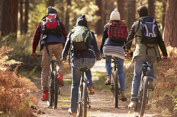 一群朋友骑自行车在森林里，背景特写