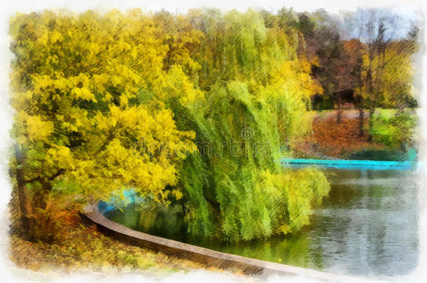 秋季背景美丽多彩的景观自然公园，以树木为水彩艺术风格图案。