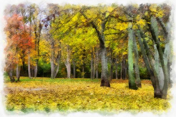 秋季背景美丽多彩的森林景观自然公园，以树木为水彩艺术风格图案。