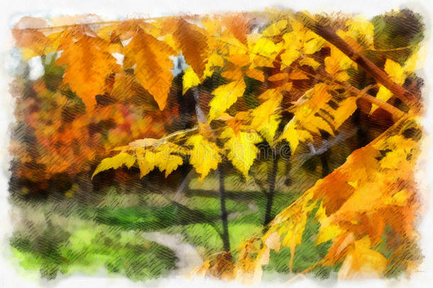 秋季背景美丽多彩的森林景观自然公园，以树木为水彩艺术风格图案。