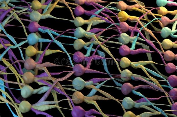 彩色神经元网络。 神经元网络。 三维插图。