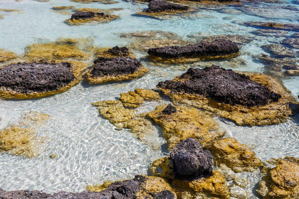 活动海滩蓝色气候海岸线