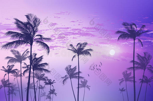 异国情调的热带棕榈树在日落或月光下，多云