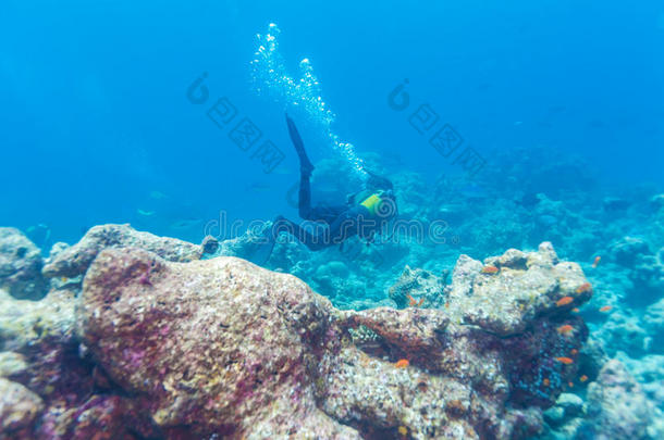 潜水员在海底游泳，有一个礁石，马尔代夫