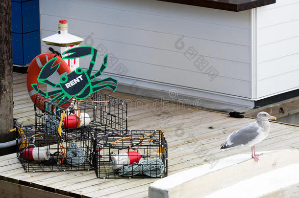 螃蟹陷阱与所有的装备，成功的螃蟹捕捞租金。